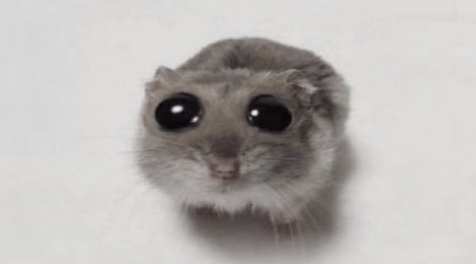 Нет донат вещей